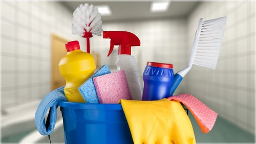 Professional carpet cleaner performing a deep clean