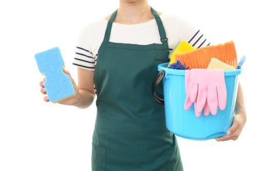 Eco-friendly cleaning solutions for rugs