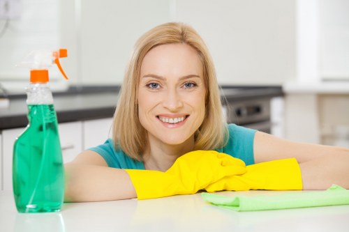 Eco-Friendly Cleaning Solutions
