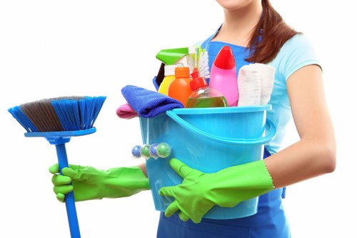 Professional window cleaning team from Dexter Carpet Cleaning