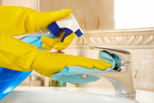 Eco-friendly cleaning products used by Dexter Carpet Cleaning
