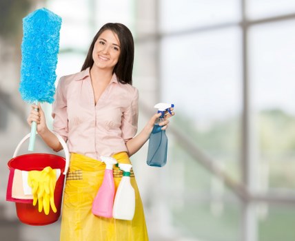 Advanced carpet cleaning equipment used by Dexter