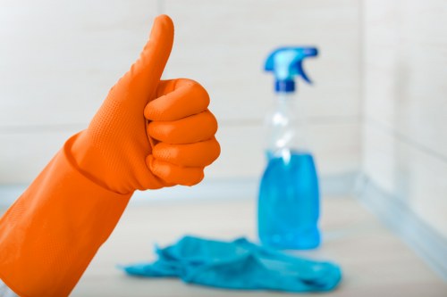 Eco-friendly cleaning solutions for carpets