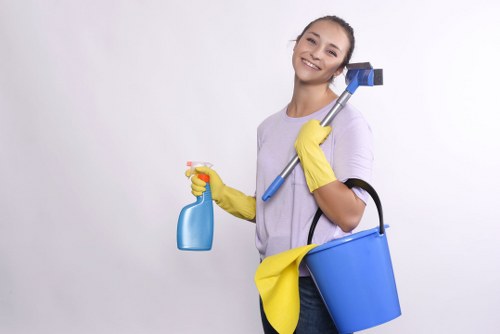 Comprehensive carpet cleaning services offered