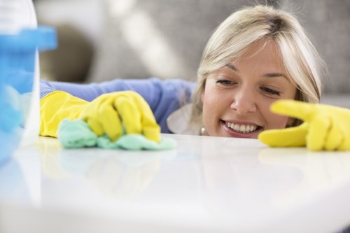 Advanced cleaning equipment used by Dexter Carpet Cleaning