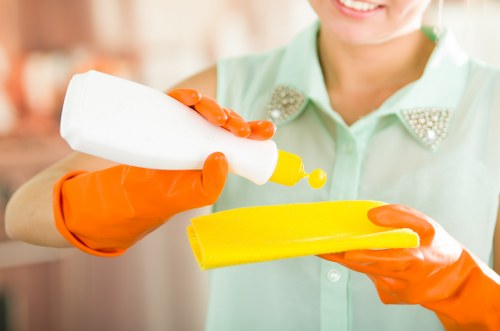 Technician communicating with a customer during an in-home carpet cleaning visit