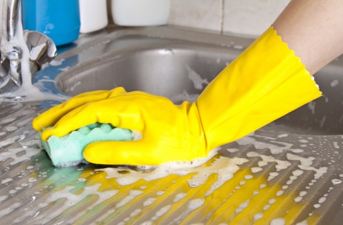 Eco-friendly gutter cleaning process by Dexter Carpet Cleaning