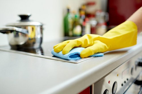 Kitchen and bathroom area being meticulously cleaned