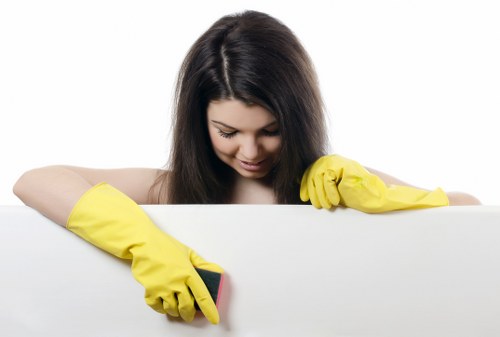 Eco-friendly facade cleaning process