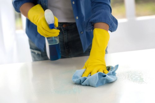 Advanced carpet cleaning technology in action